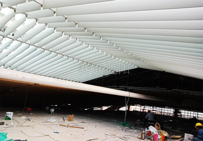 石家莊國(guó)際展覽中心300mm電動(dòng)梭形百葉遮陽(yáng)工程施工完畢后的實(shí)景圖