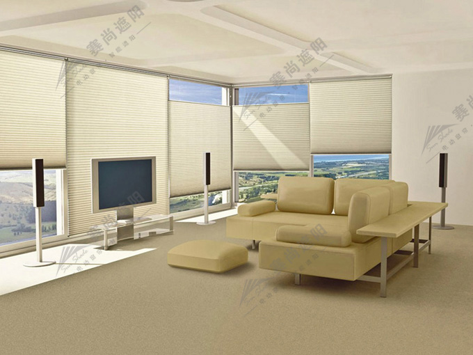 電動蜂巢簾實景圖